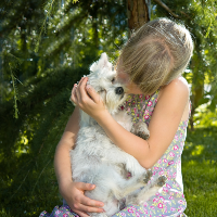 ペットを飼っている人は犬と猫どちらの割合が多いか