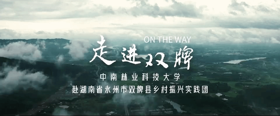 乡村振兴实践团：走进双牌